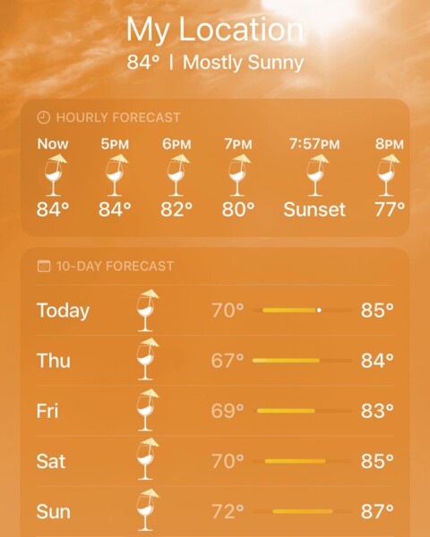 Weather app screenshot showing hourly and 10-day forecasts. Current temperature is 84°F and mostly sunny. Hourly forecasts: 5-8 PM show temps ranging from 84°F to 77°F. Daily highs range from 83°F to 85°F with sunny icons.